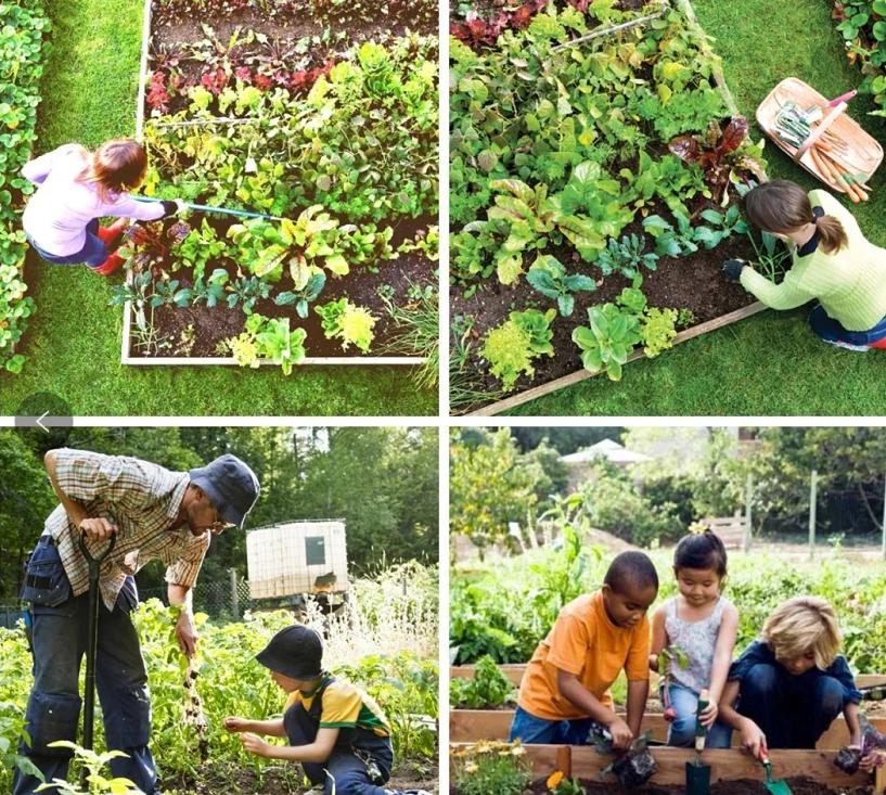 农村五亩地怎样利用赚钱,土地怎样利用赚钱