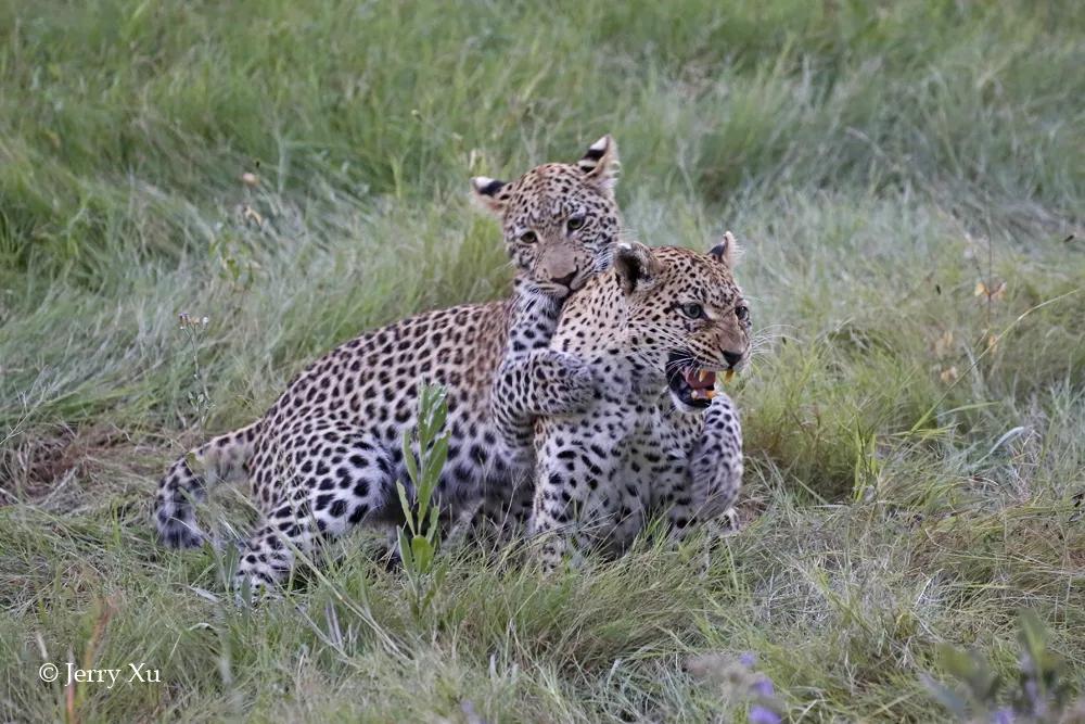 情人节，就该和爱的人*爱做**做的事