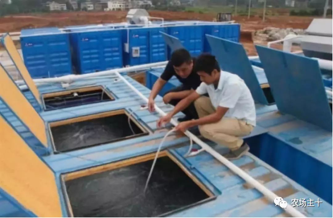 特点集装箱农场,集装箱打造农场建筑