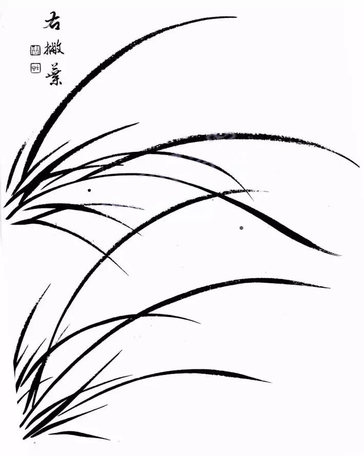 工笔兰花画法步骤详解,兰花的十种画法讲解