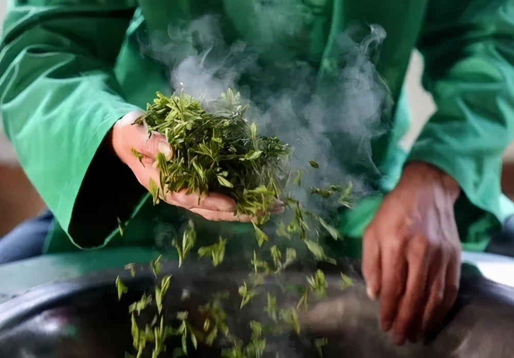 形成茶叶品质最重要的酶是,酶在茶叶加工中的应用和发展