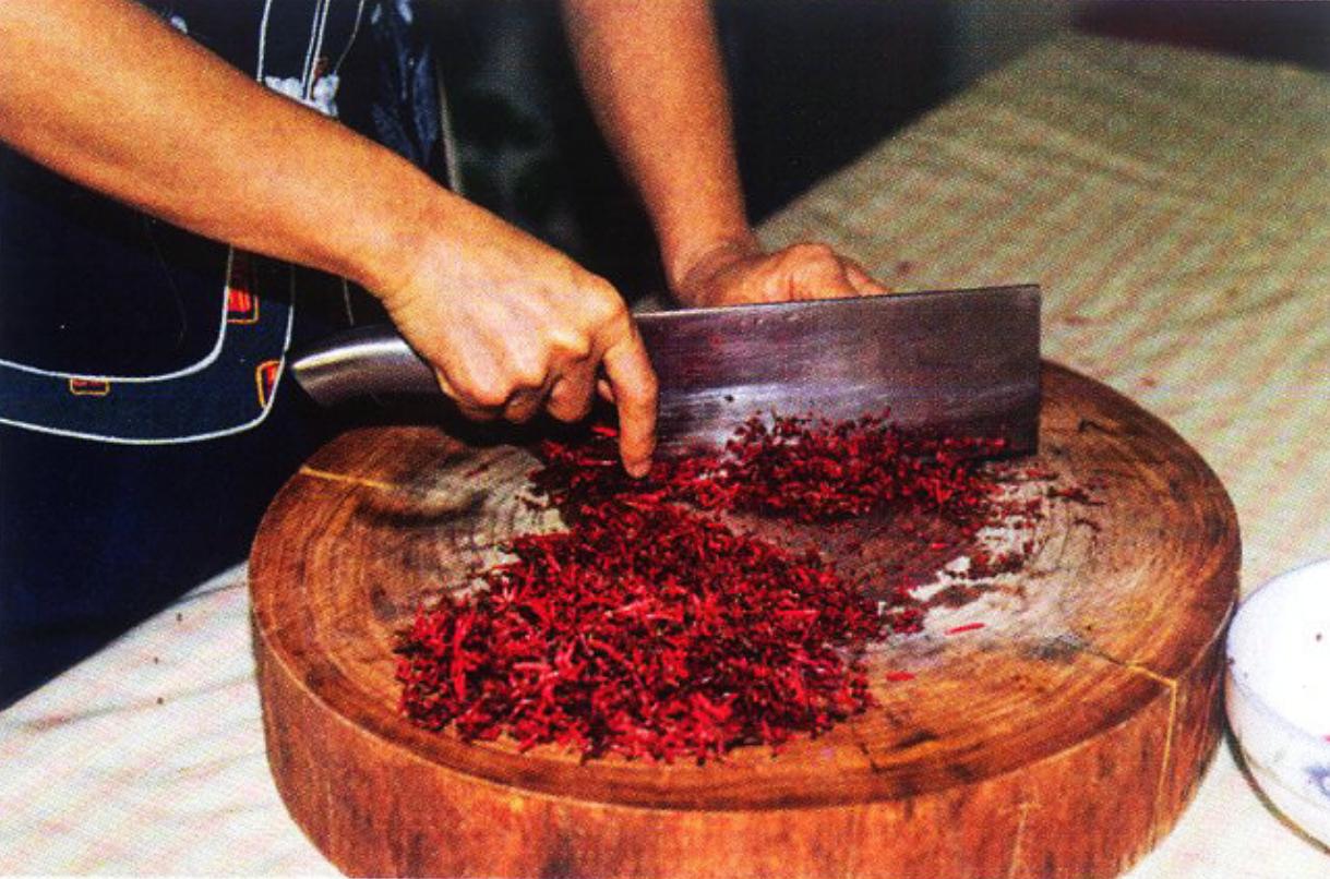 盐地碱蓬为什么会变红,盐地碱蓬是什么