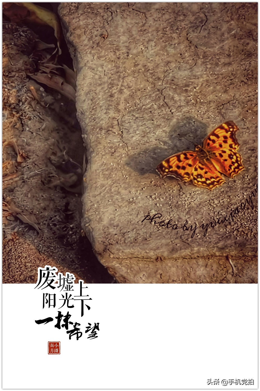 如何快速给大量照片添加水印,怎么给照片加好看的水印