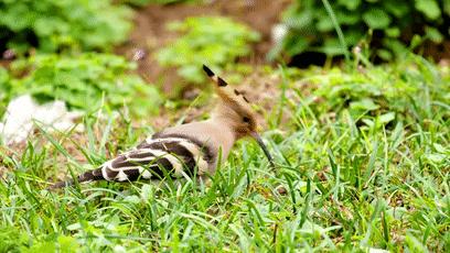閮戝窞椋為笩瀹跺洯鍥剧墖澶у叏,閮戝窞椋為笩瀹跺洯椋庢櫙