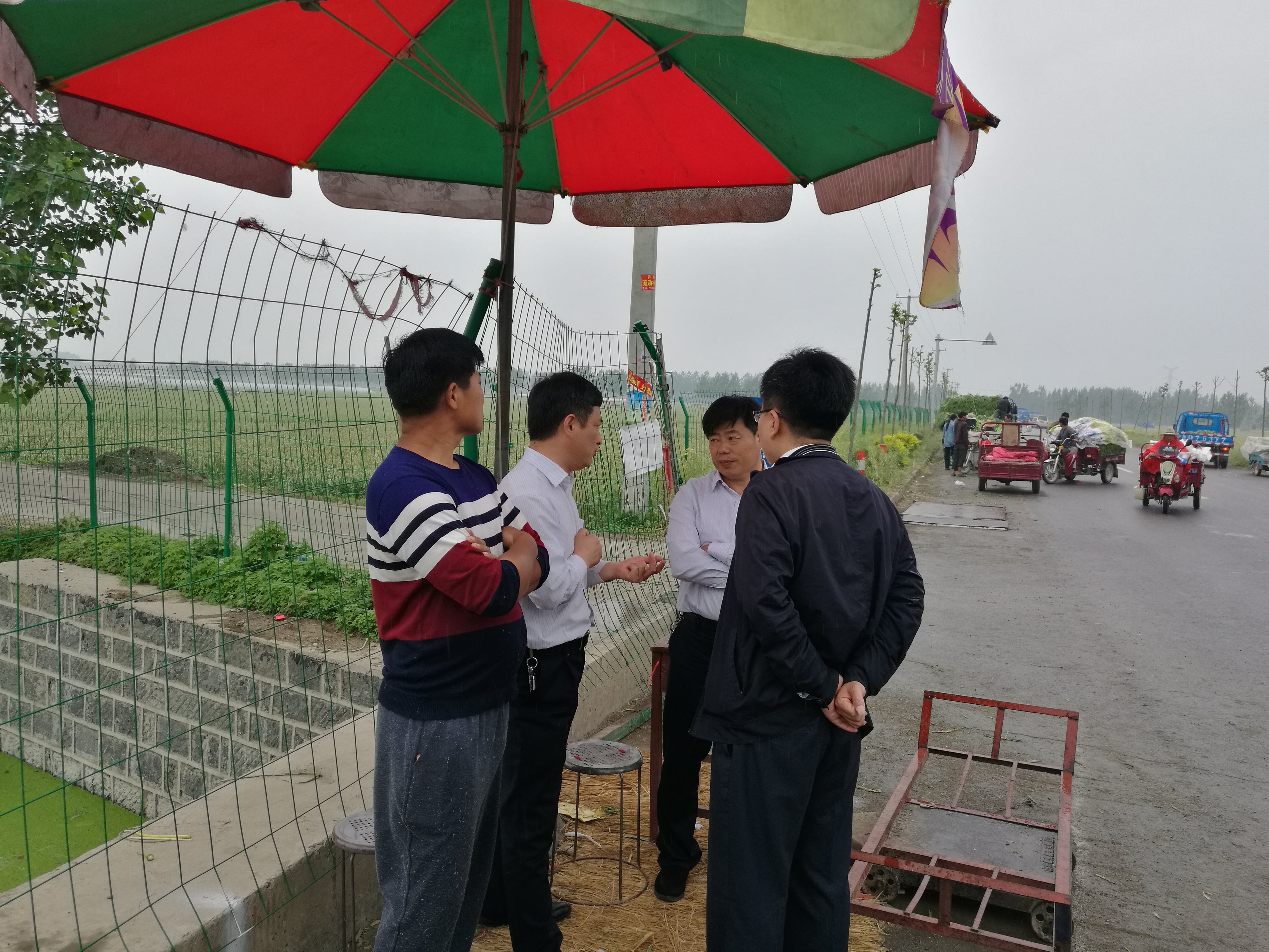 一则关于蒜薹的往事，曾被莫言写成小说，告诫要以群众利益为先