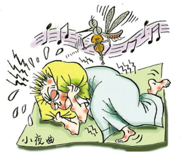 容易被蚊子咬的人血是甜的,蚊子最爱咬什么类型的血型人