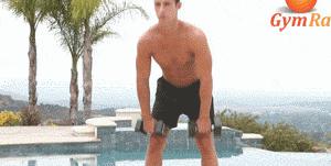 在家跟着练哑铃全身训练教程,一对哑铃练遍全身