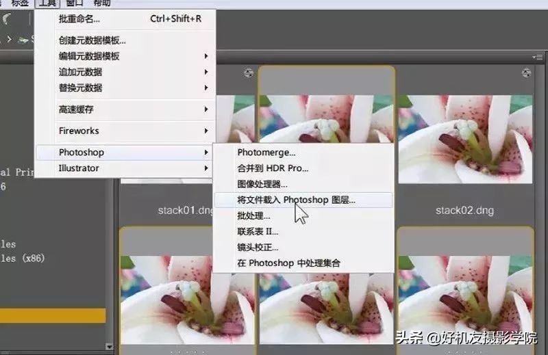 景深后期怎么合成照片,如何拍出前虚后实的景深照片