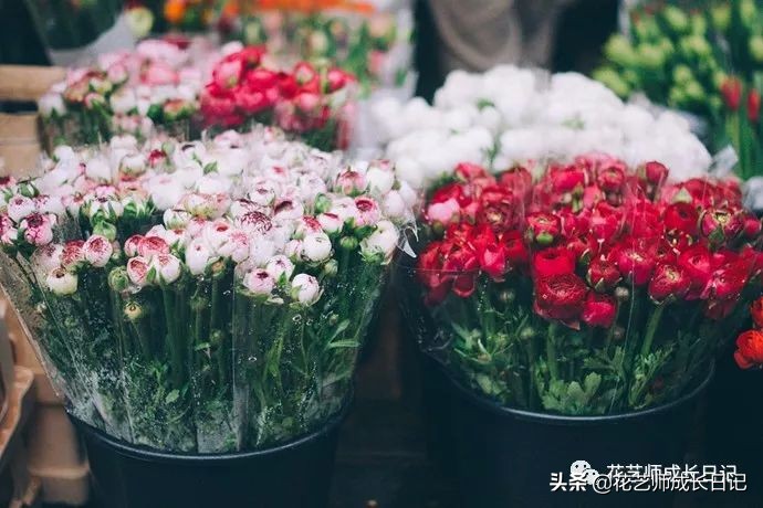 开花店花材损耗,花店新到花材如何打理