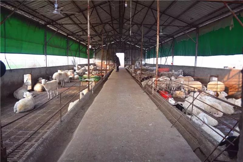 许昌胖东来供货,许昌胖东来供货商真实感受