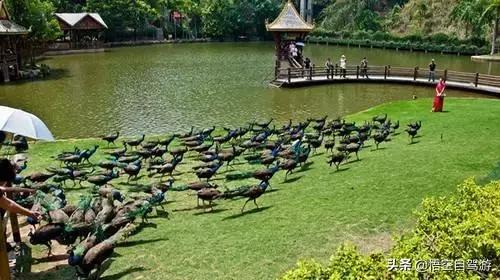 昆明自驾西双版纳沿途旅游景点,昆明至西双版纳沿途旅游景点