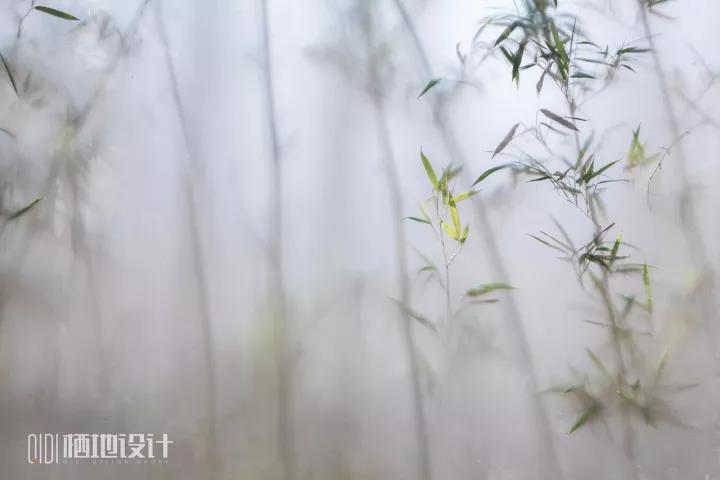 苏州世茂石湖湾在苏州什么位置,苏州吴中区世茂石湖湾花园