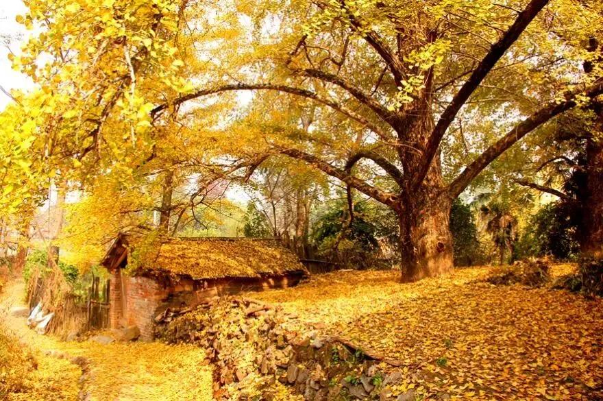 国内小众拍照胜地排名,文艺气息满溢的拍照圣地