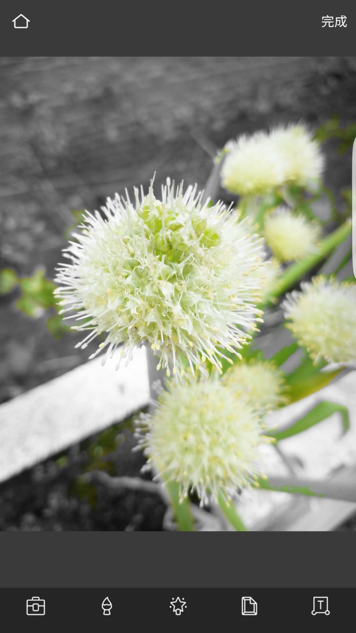 怎样使用pixlr程序处理照片,pixlr修改图片的功能介绍