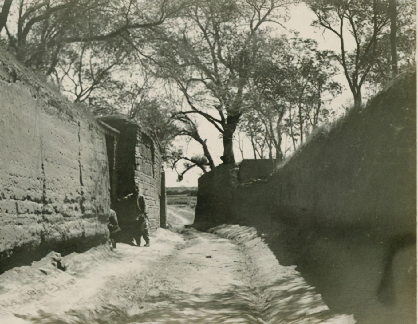 韩子栋入狱脱险报告,韩子栋被军统关押在集中营