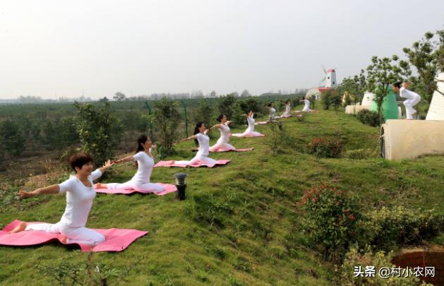 农业农村创业风口项目有哪些,适合农村的小本生意农业创业项目