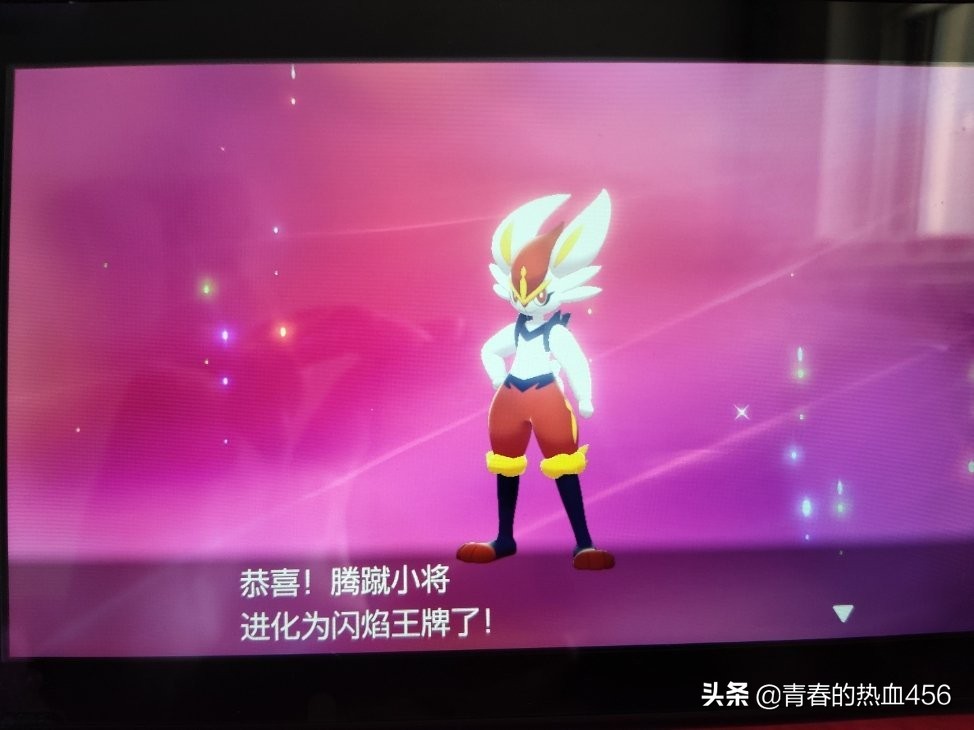 宝可梦剑盾火兔子,宝可梦火兔的进化型