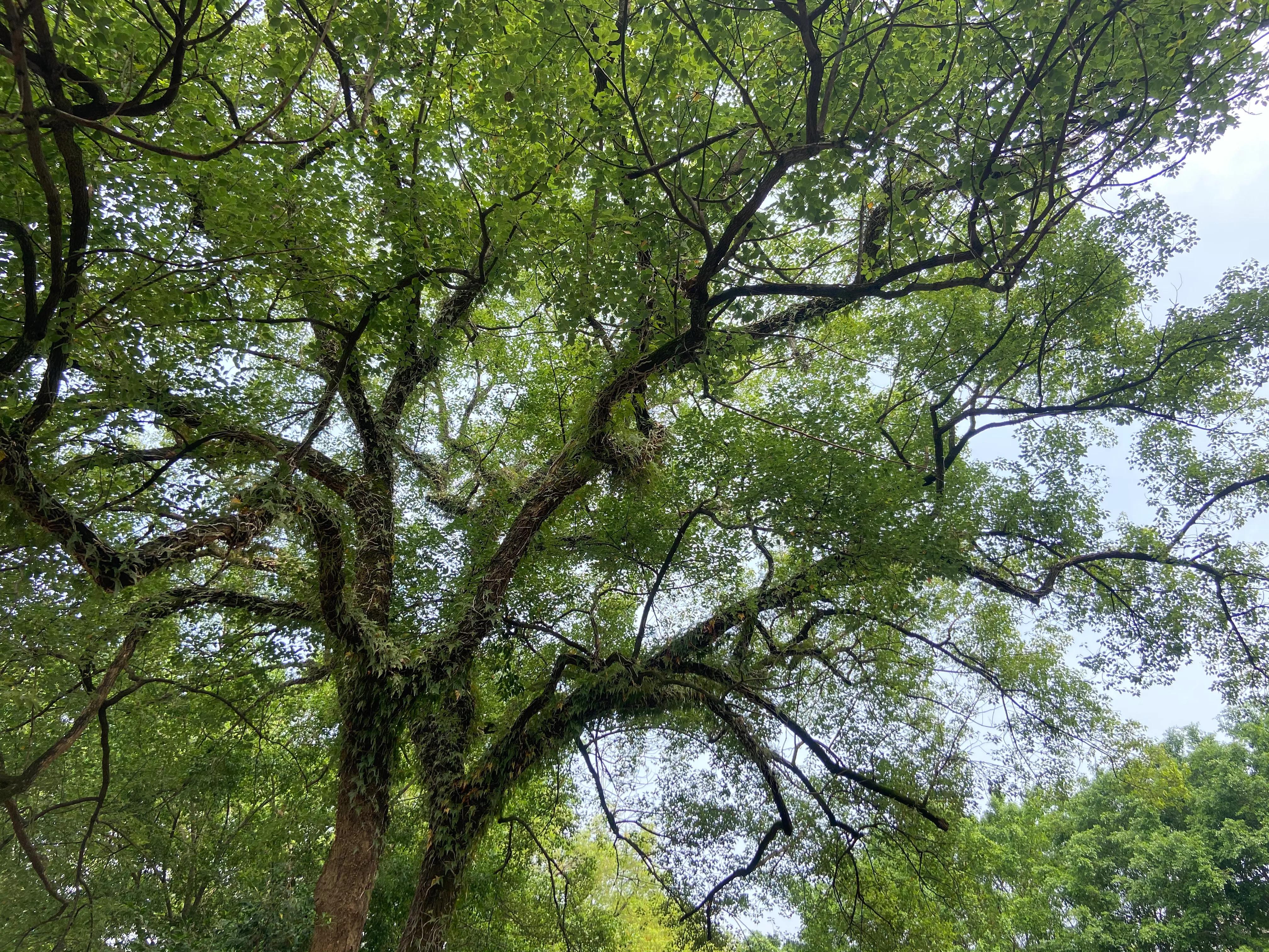 吃一堑长一智歌曲,吃一堑长一智的句子