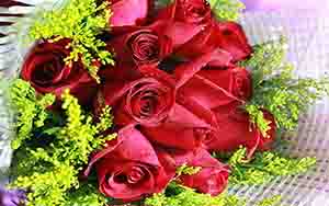 ps图像分辨率及大小设计与美化,ps800x800像素分辨率是多少