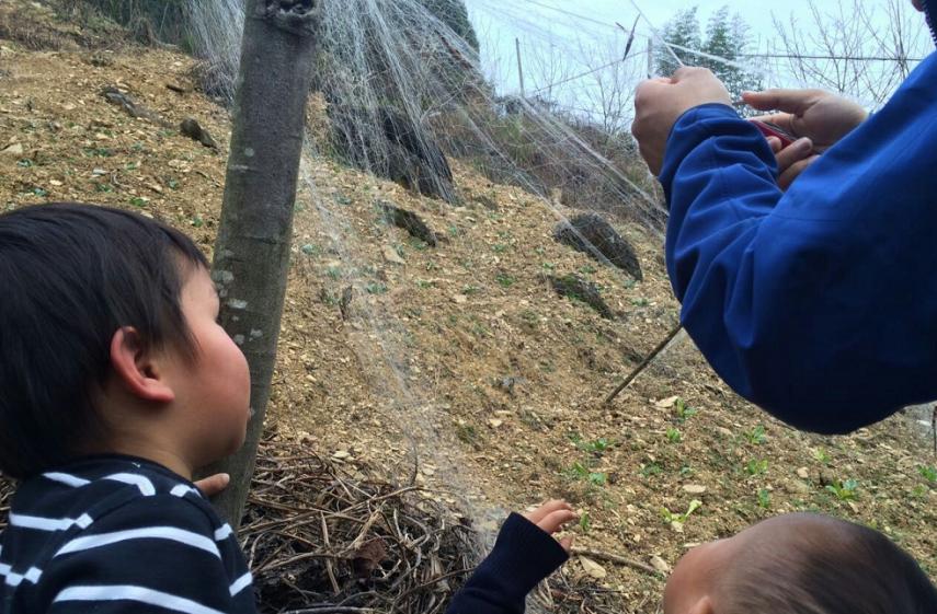 他叫辛巴，不是狮子王，8岁穿越12国：最好的教育，永远在路上