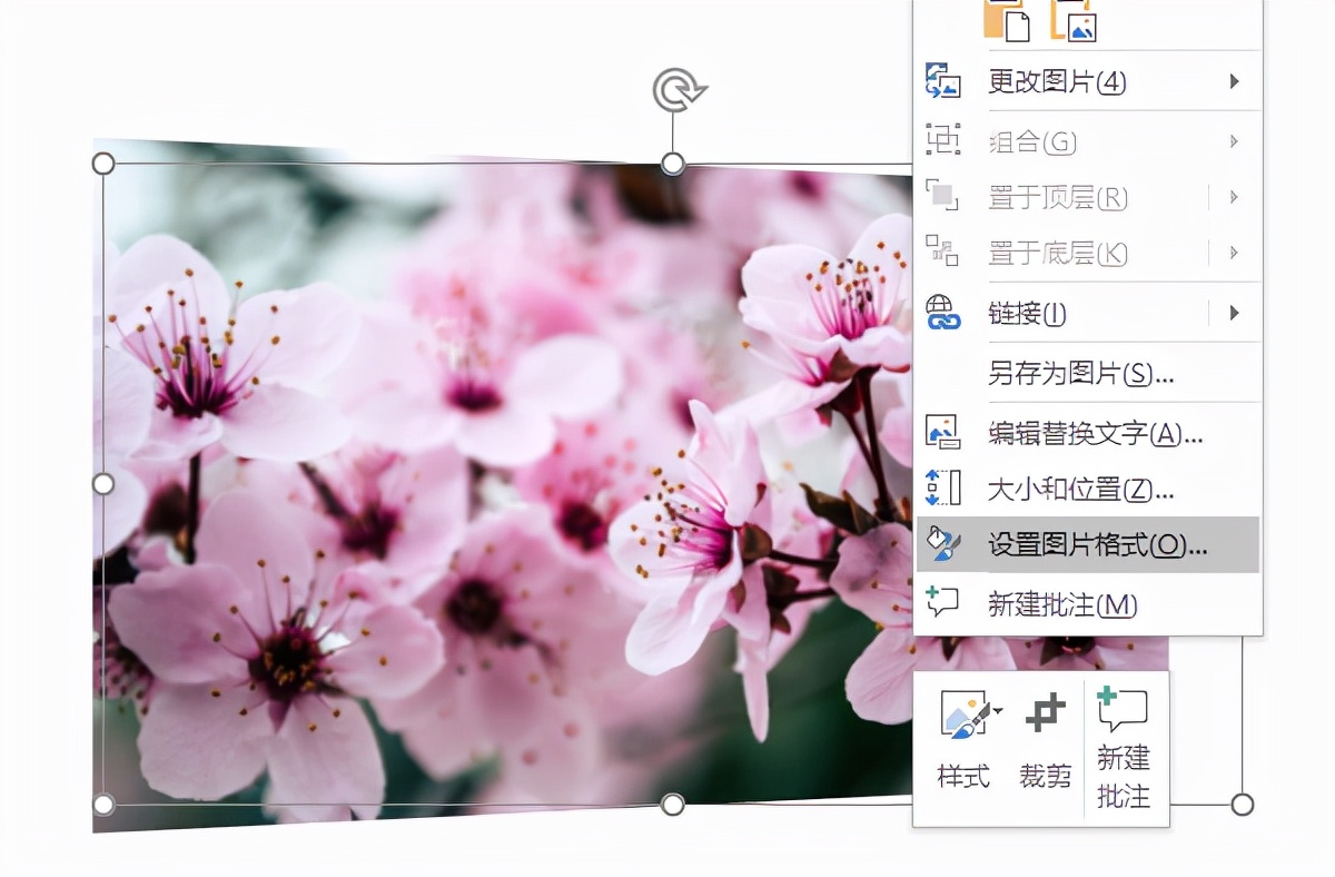 ppt琛ㄦ牸杞挱婊氬姩鏁堟灉,濡備綍璁剧疆ppt鍥剧墖杞挱