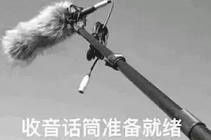 麦拉达和麦克风的区别,麦拉达麦克风手机专用