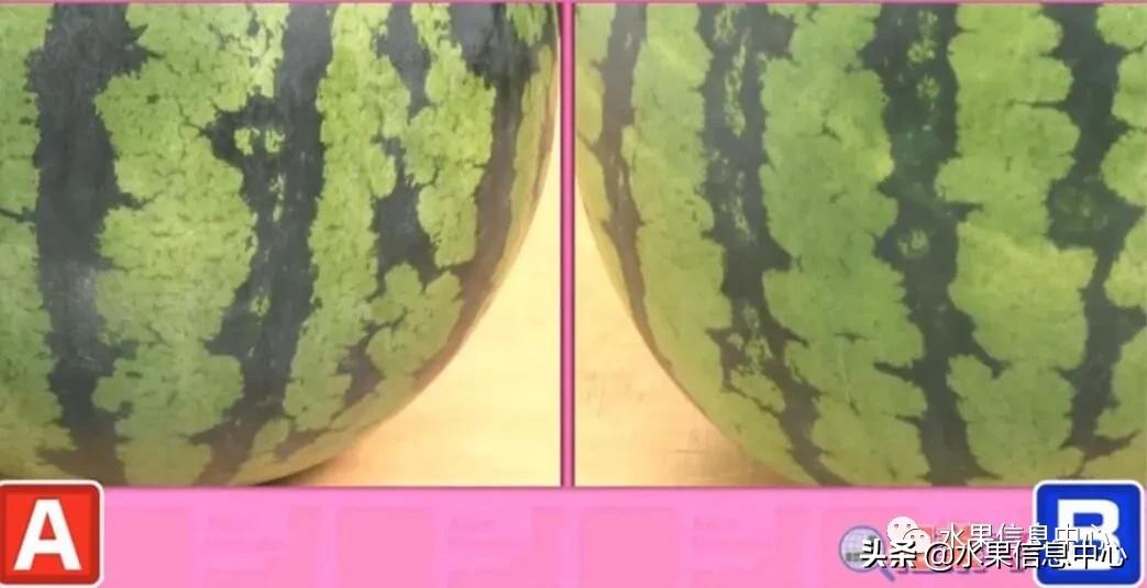 日本水果店怎么挑选,正宗日本水果店