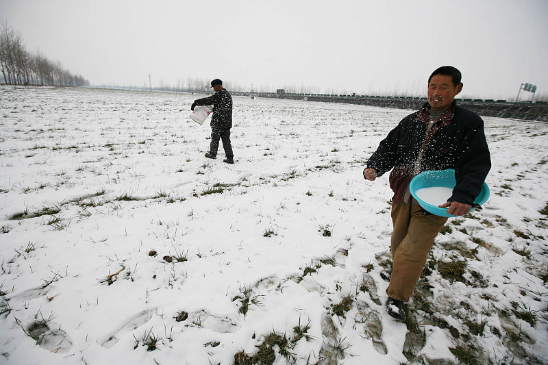 春耕施肥需谨记的13点内容,秋种施化肥