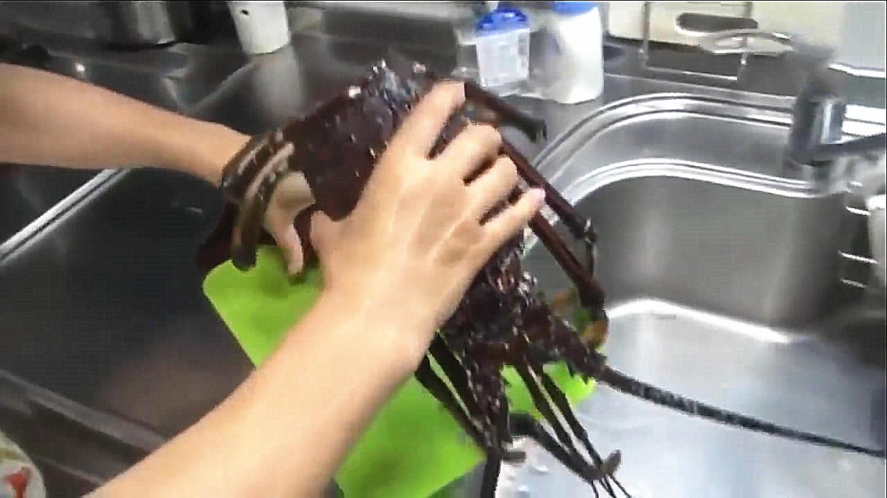 500元买两只大龙虾做秘制小海鲜,买一只大龙虾回来做麻辣大龙虾