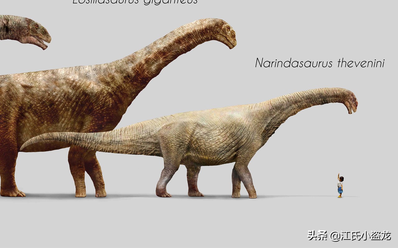 古生物时代有多少种恐龙,人类已经发现了多少恐龙种类