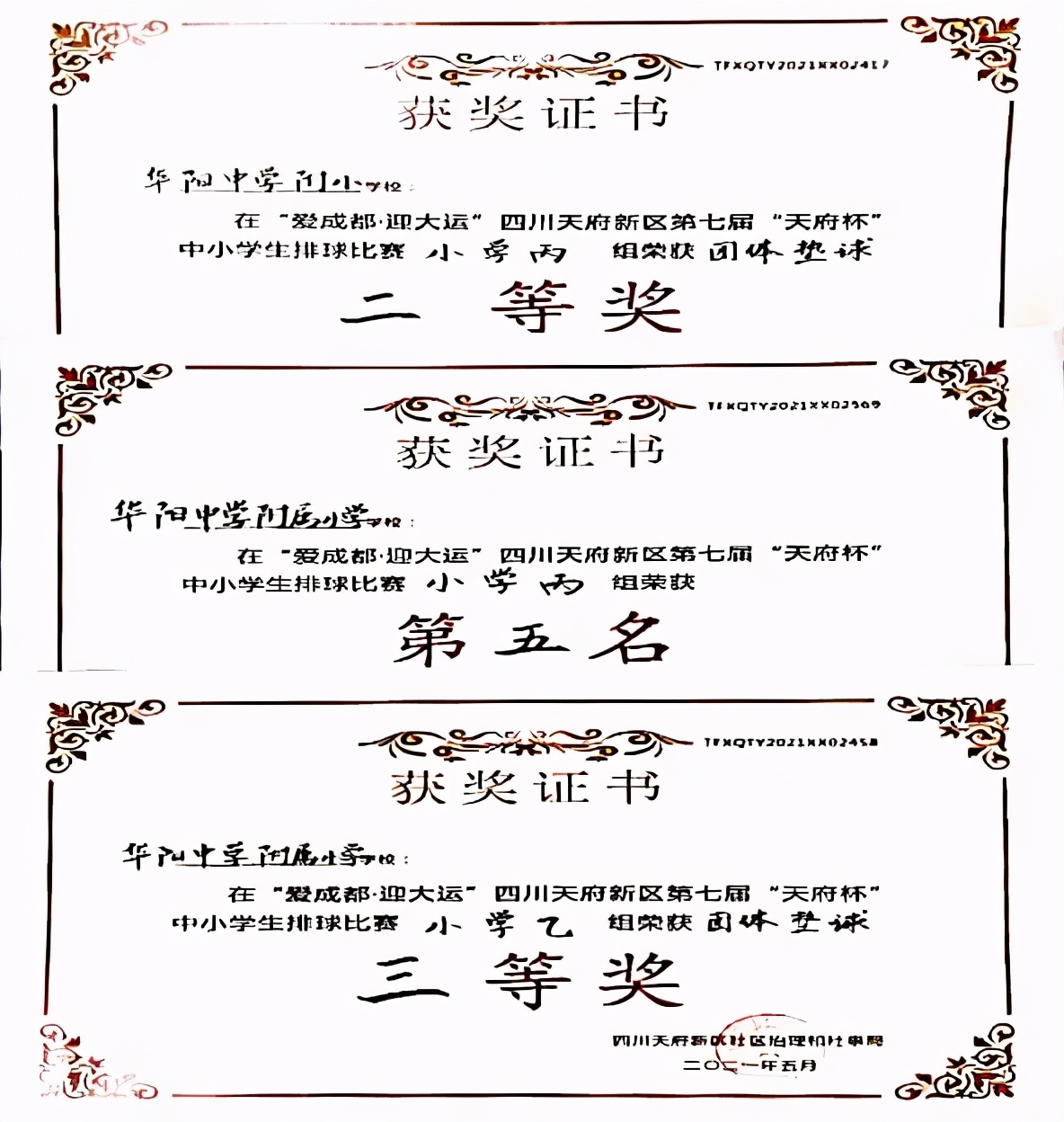 天府新区华阳中学篮球馆,华阳中学天府新区小学部运动会
