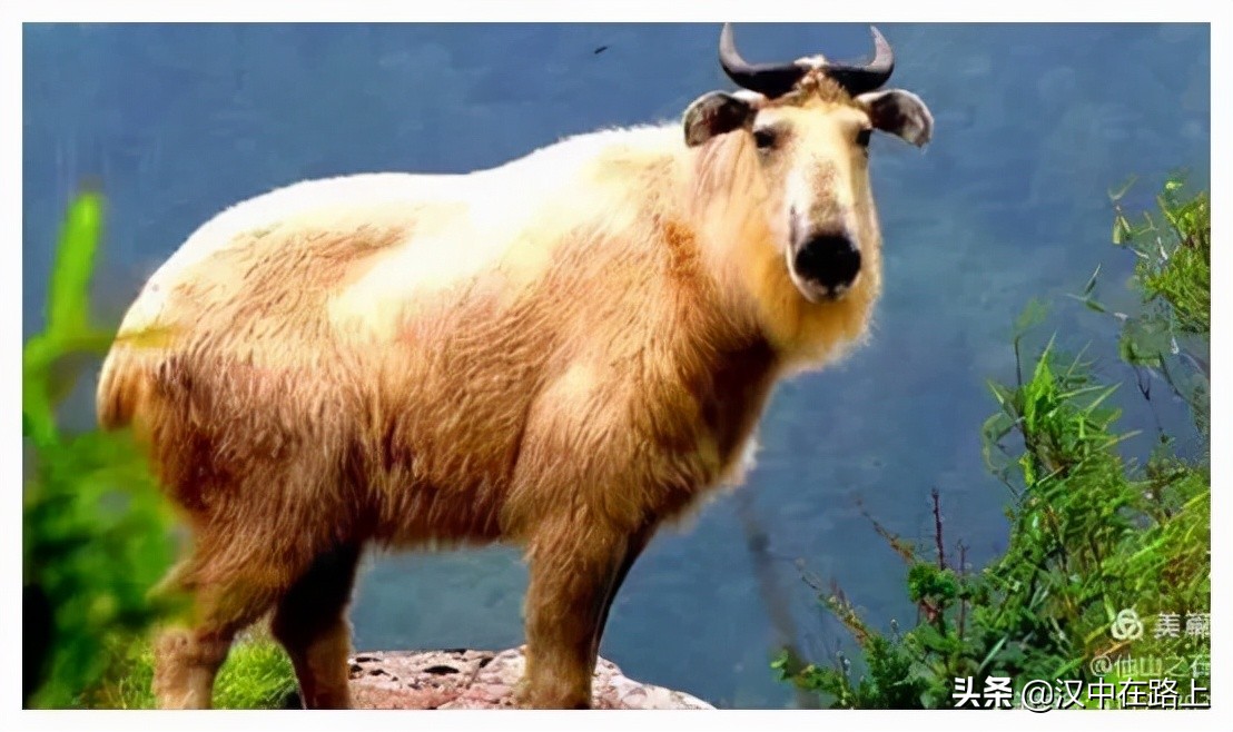 汉中户外遛娃好去处排行榜,汉中遛娃旅游景点有哪些