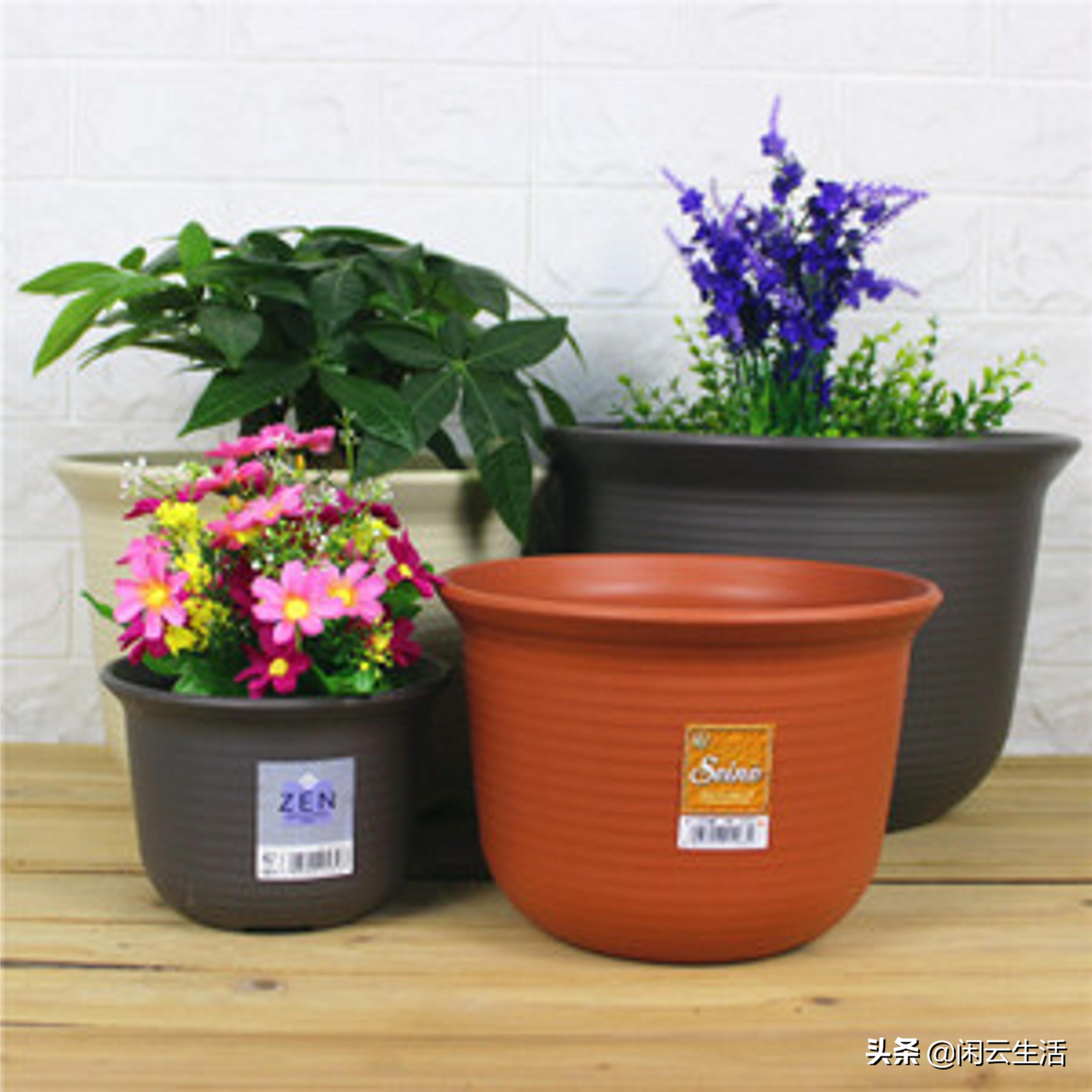 家居花盆如何选好看又实惠,家居种植花盆怎么选择