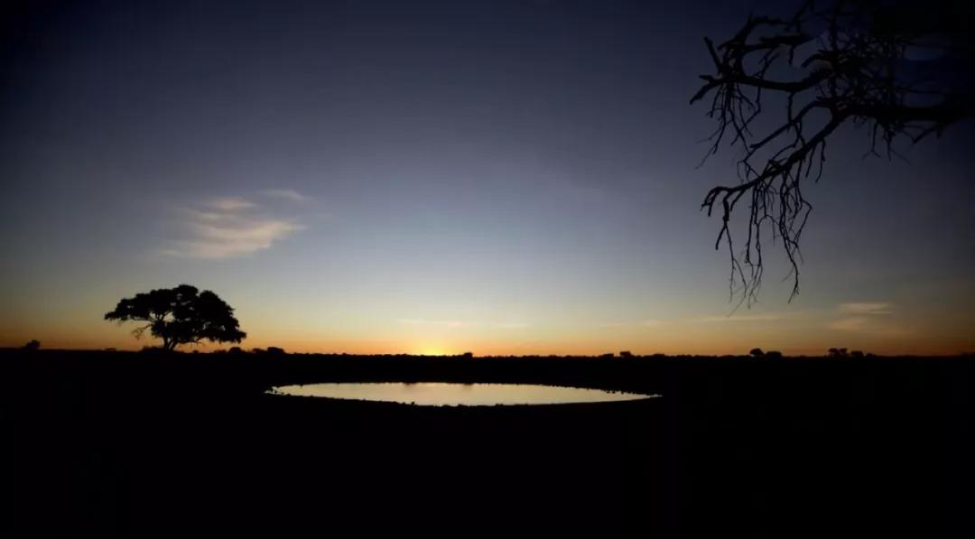 除了《乘风破浪的姐姐》，不出门的日子你也可以看看这些神仙综艺
