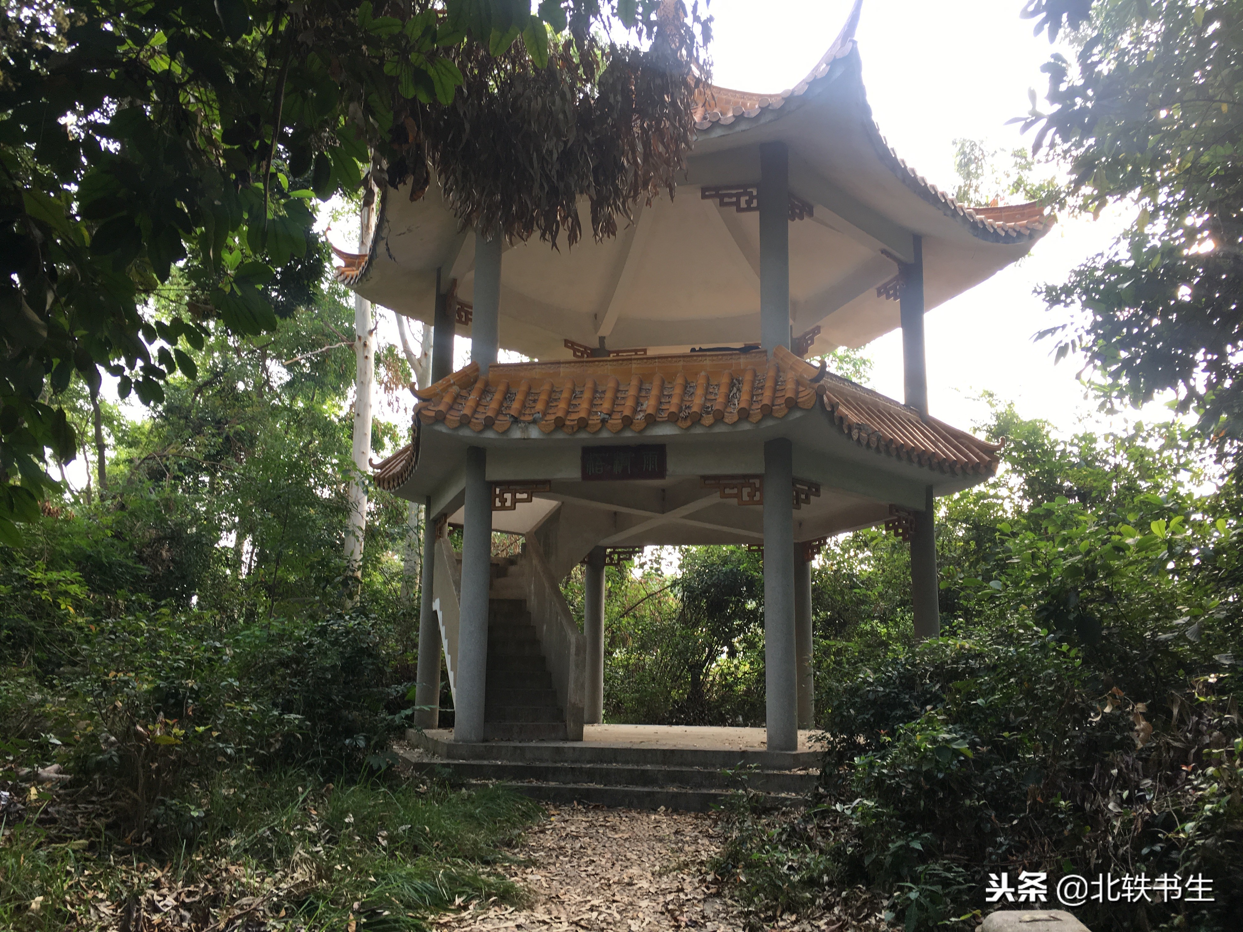 广州值得打卡的免费景点,广州天河必打卡的景点