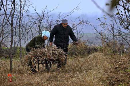 高中常见书写错误,小学生常见易错字巧记法