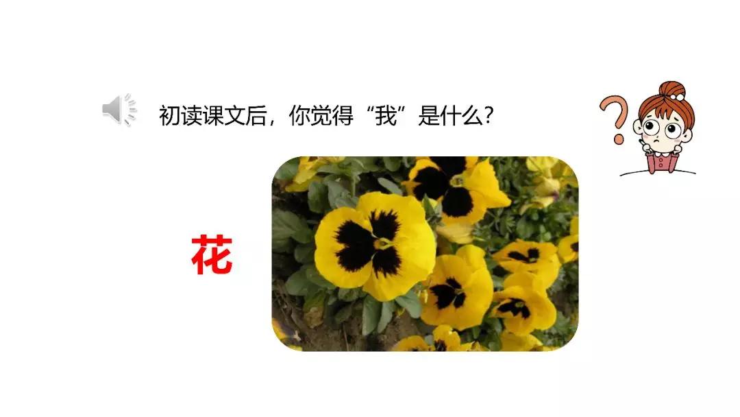 六年级上册语文第四课花之歌电子,部编版语文六年级上册花之歌讲解