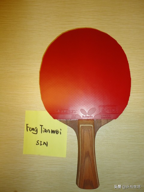 国家队常用乒乓球拍,国家队比赛用最多的球拍