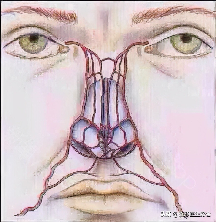 图解详示各种鼻整形方法及过程,鼻整形材料图