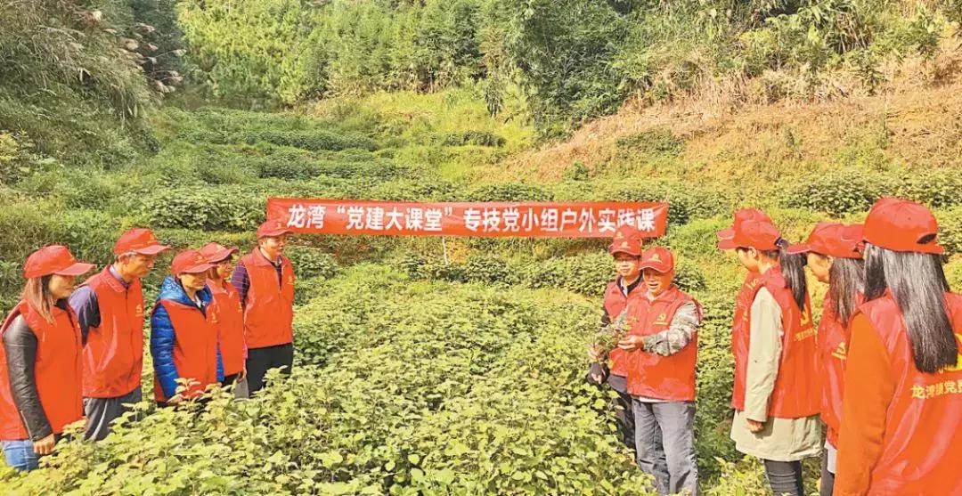 罗定龙湾镇最新规划,罗定龙湾乡村振兴