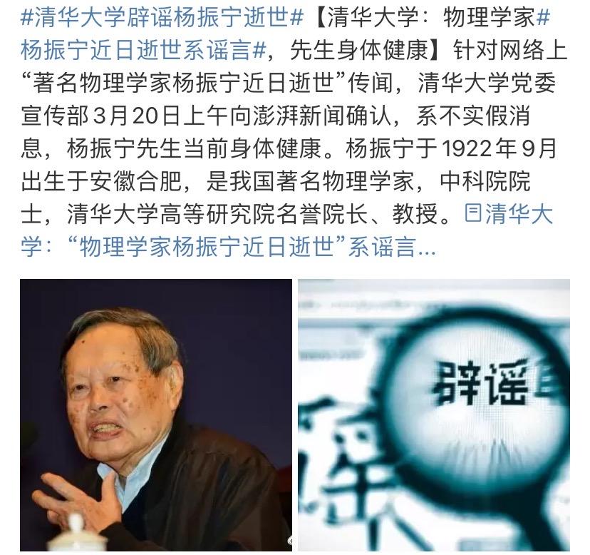 杨振宁与翁帆参加画展,和杨振宁结婚后翁帆的事业状况