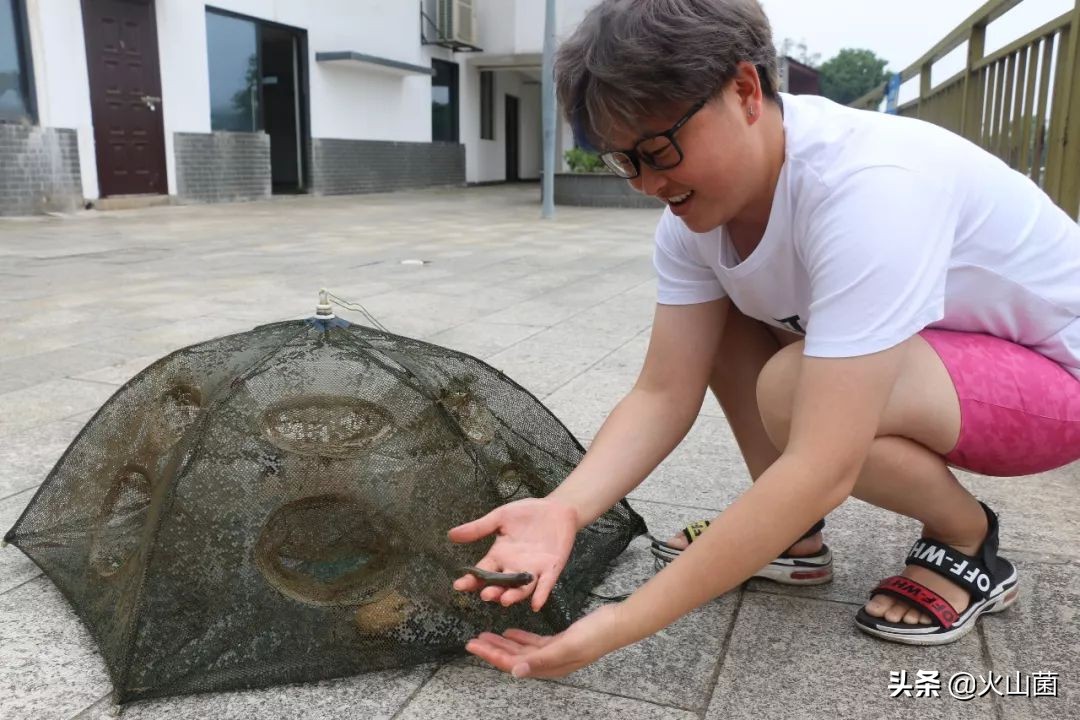 逃离高温“熔炉”，南方的夏天就该玩雪