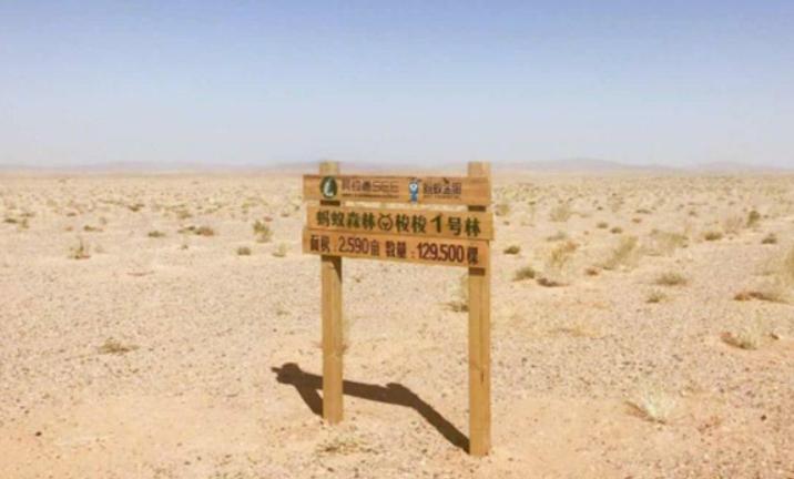 蚂蚁森林推出3年，马云在线下种植了1亿棵树苗，你贡献了几棵？