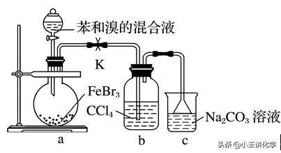 化学实验题必背知识点高考,化学高考有机基础专题大题