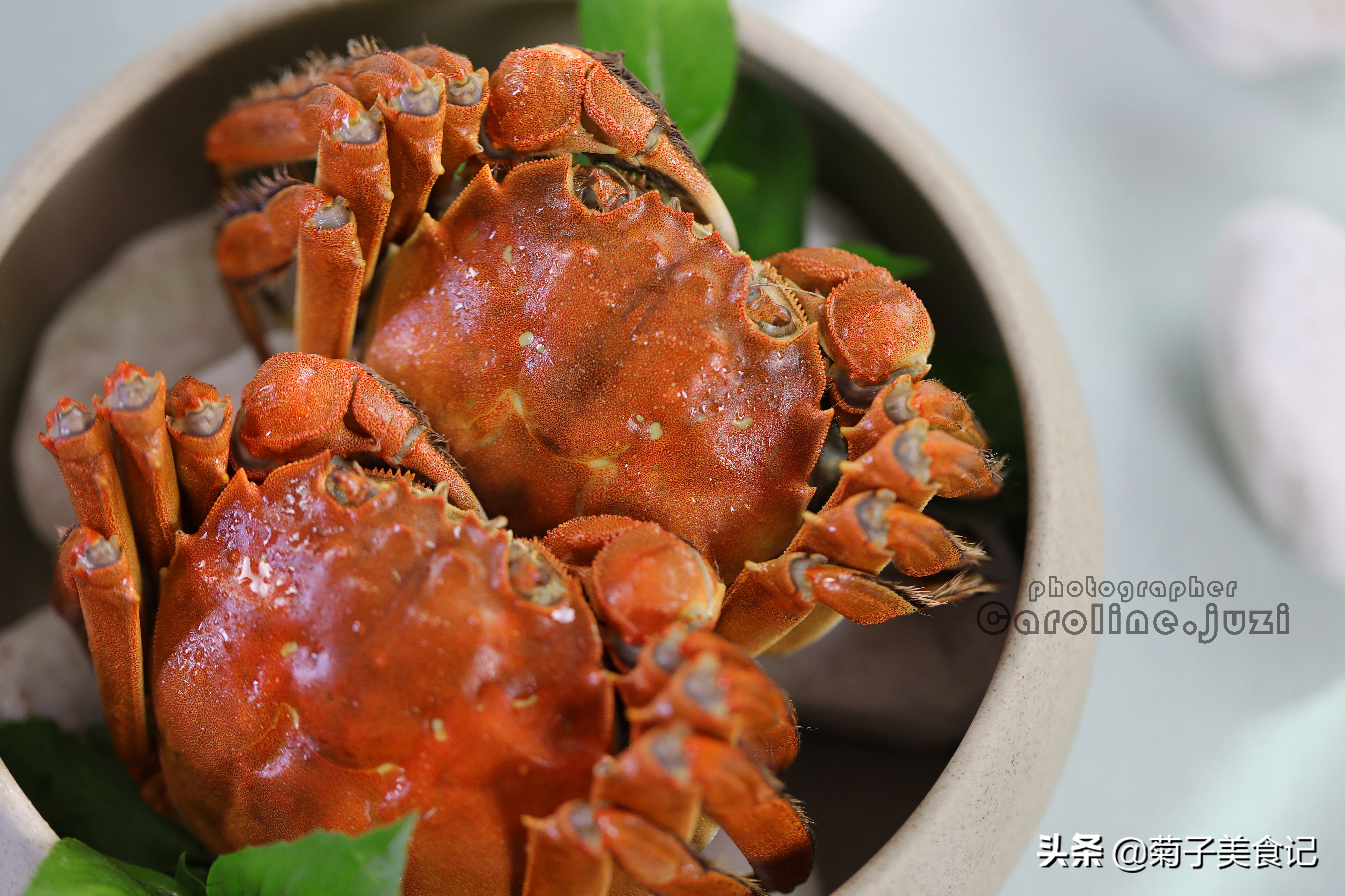清蒸大闸蟹送蘸酱,大闸蟹怎么蒸酱汁好吃窍门