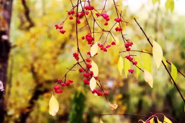 人生遇贵人的经典语录短句,经典语录人生贵人
