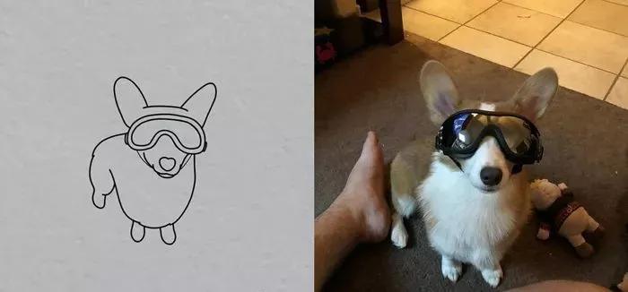 一波可爱动物简笔画,超火的简笔画动图