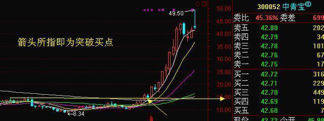 股市交易新手入门,股市交易与个人感悟
