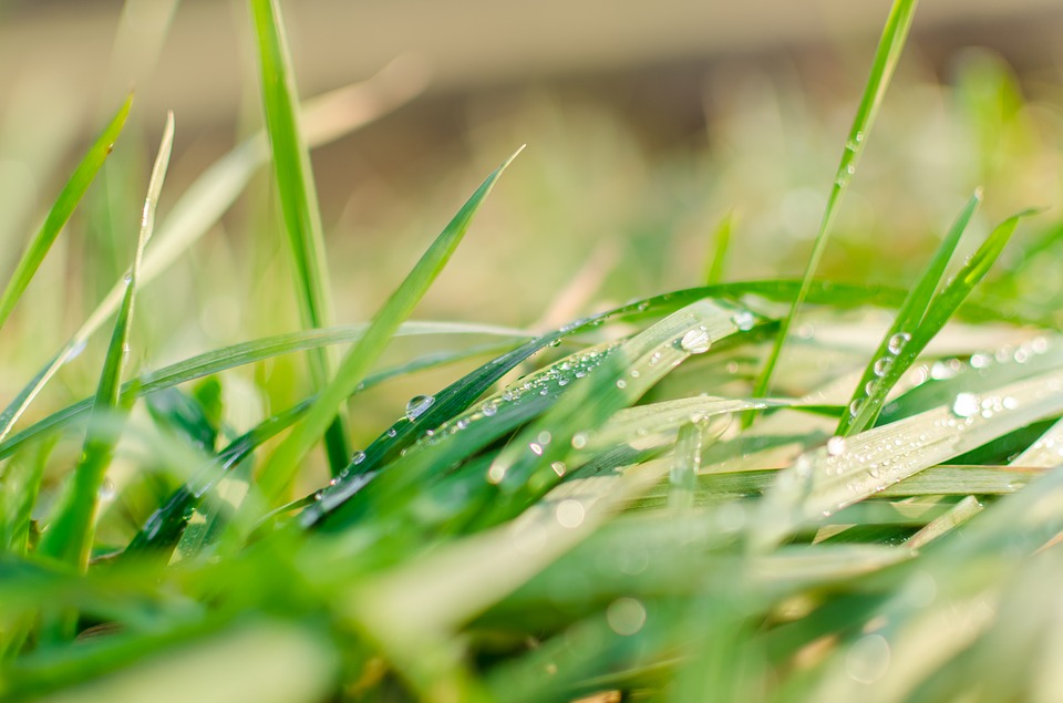 常见的英文缩写有哪些,这些常见的英文缩写你可得知道