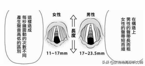 助听器戴着有点松有什么办法,助听器戴着耳朵痒怎么办